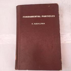 fundamental particles（H1559）
