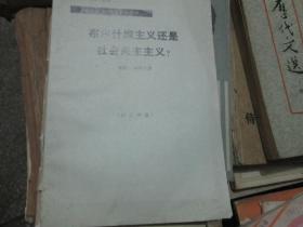 布尔什维主义还是社会民主主义