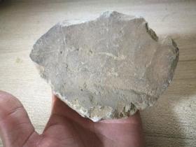 汉老屋构建标本