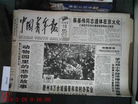 中国青年报 1997.2.19