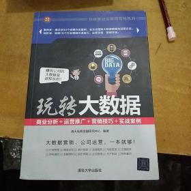 玩转大数据：商业分析＋运营推广＋营销技巧＋实战案例 玩转移动互联网营销系列