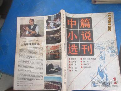 中篇小说选刊  1989  1