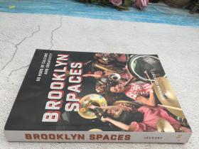 Brooklyn Spaces: 50 Hubs of Culture and Creativity 纽约文化风尚