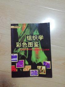 组织学彩色图鉴【品相不好，可做资料】