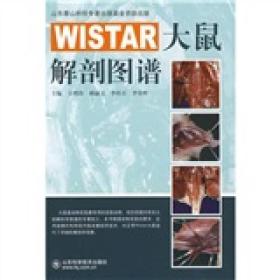 WISTAR大鼠解剖图谱
