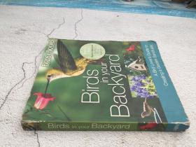 Birds in Your Backyard: A Bird Lover's Guide to Creating a Garden Sanctuary