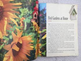 Birds in Your Backyard: A Bird Lover's Guide to Creating a Garden Sanctuary