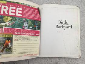 Birds in Your Backyard: A Bird Lover's Guide to Creating a Garden Sanctuary