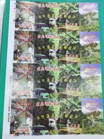 宁夏泾河老龙潭整版门票