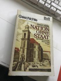 德文原版 Nation ohne Staat : die Entstehung der deutschen Frage【封底有水渍，无涂画笔迹】