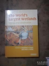 The World's Largest Wetlands Ecology and Conservation