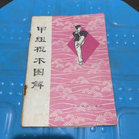 甲组棍术图解