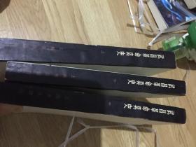 武昌革命真史（上中下）