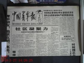 中国青年报 1996.11.4