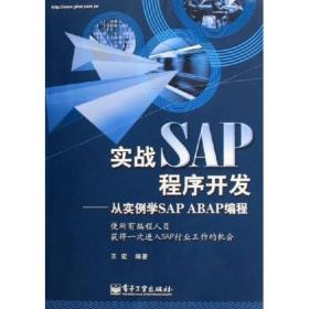 实战SAP程序开发：从实例学SAP ABAP编程