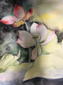 洪彦 水彩画 荷花  39x54cm 日本发货