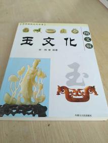 玉文化 中华传统文化书系  图文版
