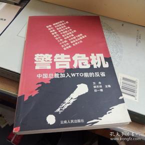 警告危机:中国总裁加入WTO前的反省