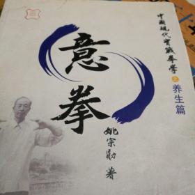 意拳 中国现代实战拳学之养生篇