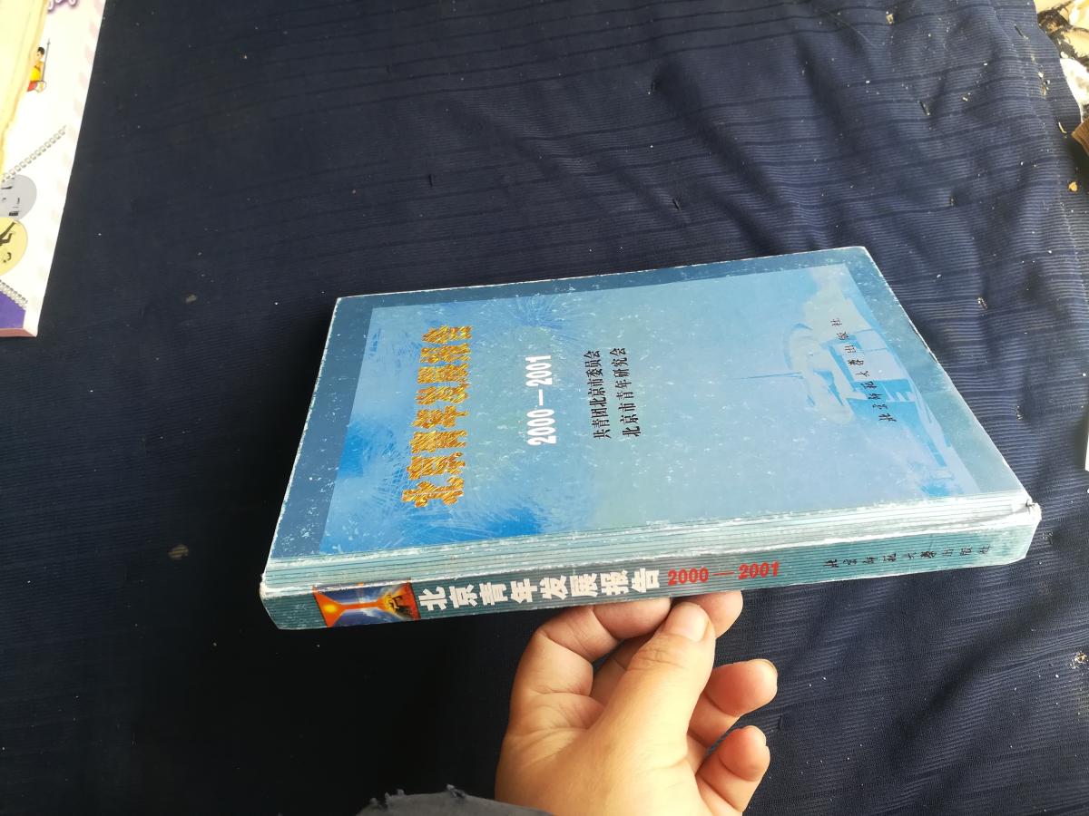 北京青年发展报告。2000-2001。