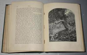 1870年 Random Truths in Common Things 经典英语散文随笔《常物枝语录》全插图本 满堂烫金装饰精装 大量雕版版画