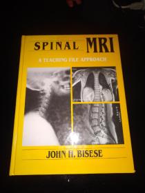 spinal mri a teaching file approach