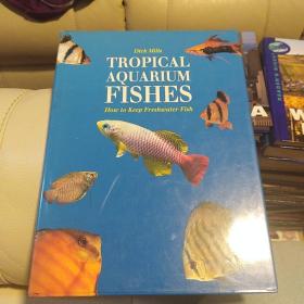 Tropical Aquarium   Fishes      c