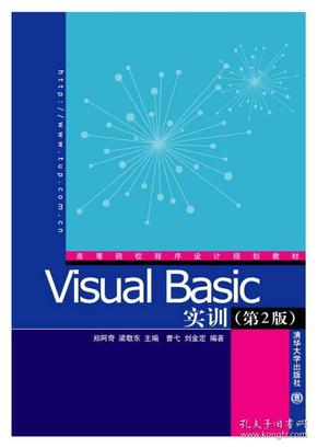 Visual Basic实训（第2版）