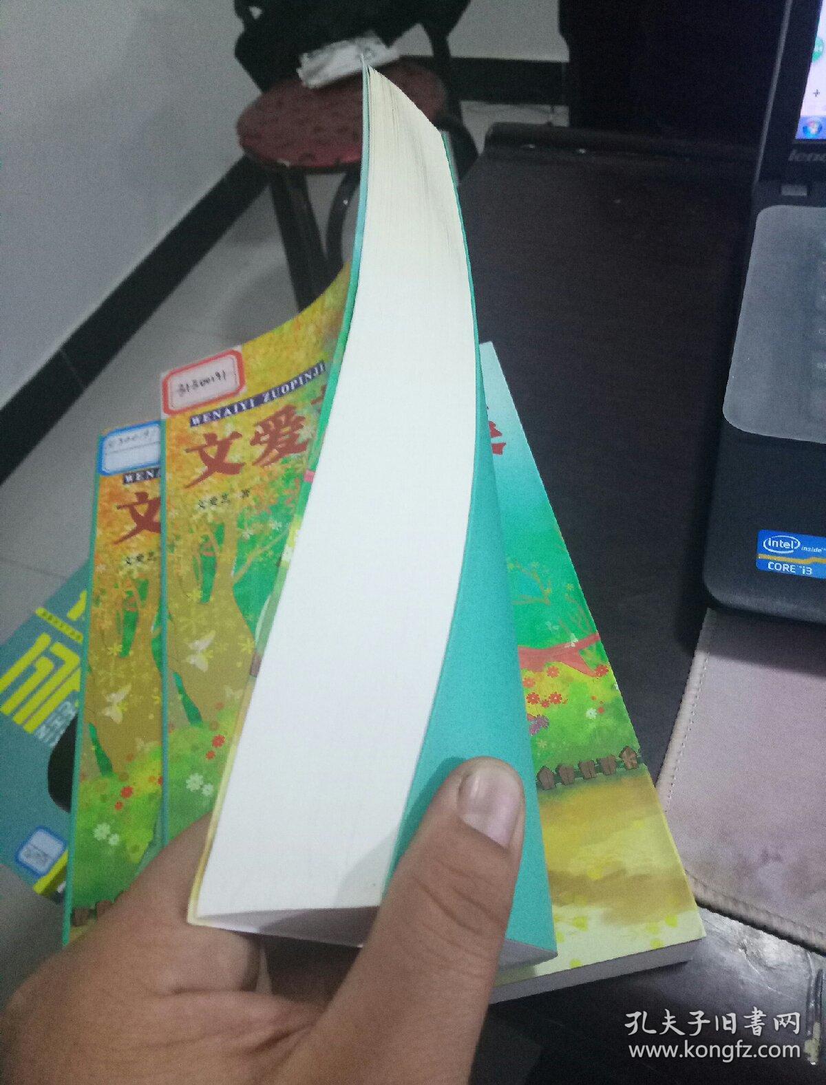 文爱艺作品集