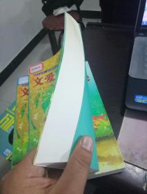 文爱艺作品集