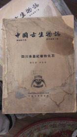 中国古生物志--四川侏罗纪植物化石 总号第135册 新甲种3号