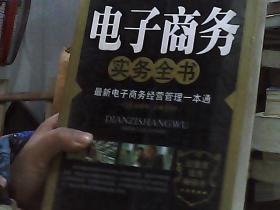 网络营销实务全书：突破传统营销平台的全新模式