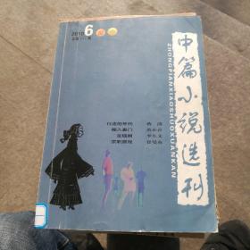 中篇小说选刊2010年6总177行走的年代蒋韵嫁入豪门范小青金钱树李东文求职游戏崔曼莉