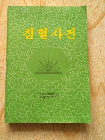 朝鲜原版针穴词典
침혈사전
