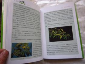 《版纳植物百香》精装本 铜版纸彩印 图文并茂 定价48元  干净品佳、内页如新、"