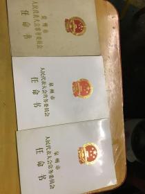 泉州市人民代表大会常务委员会任命书[三张合售两张同年的一张不同年代 同一人]