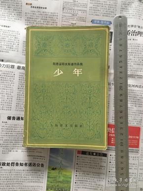 陀思妥耶夫斯基作品集 少年