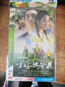 DVD 电视剧 我们像葵花 2碟装