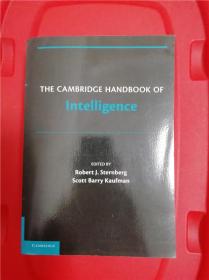 The Cambridge Handbook of Intelligence （剑桥智力研究指南）