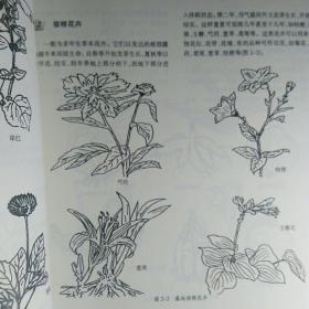 花木装饰技艺