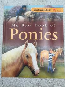 my best book of ponies