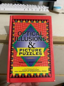 OPTICAL ILLUSIONS & picture puzzles