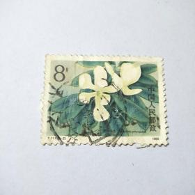 盖销邮票:1986年T111（3一2）珍稀濒危木兰科植物.面值8分一枚.