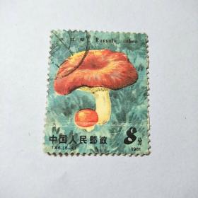 盖销邮票:1981年T66（6一4）食用菌蘑菇.面值8分一枚.