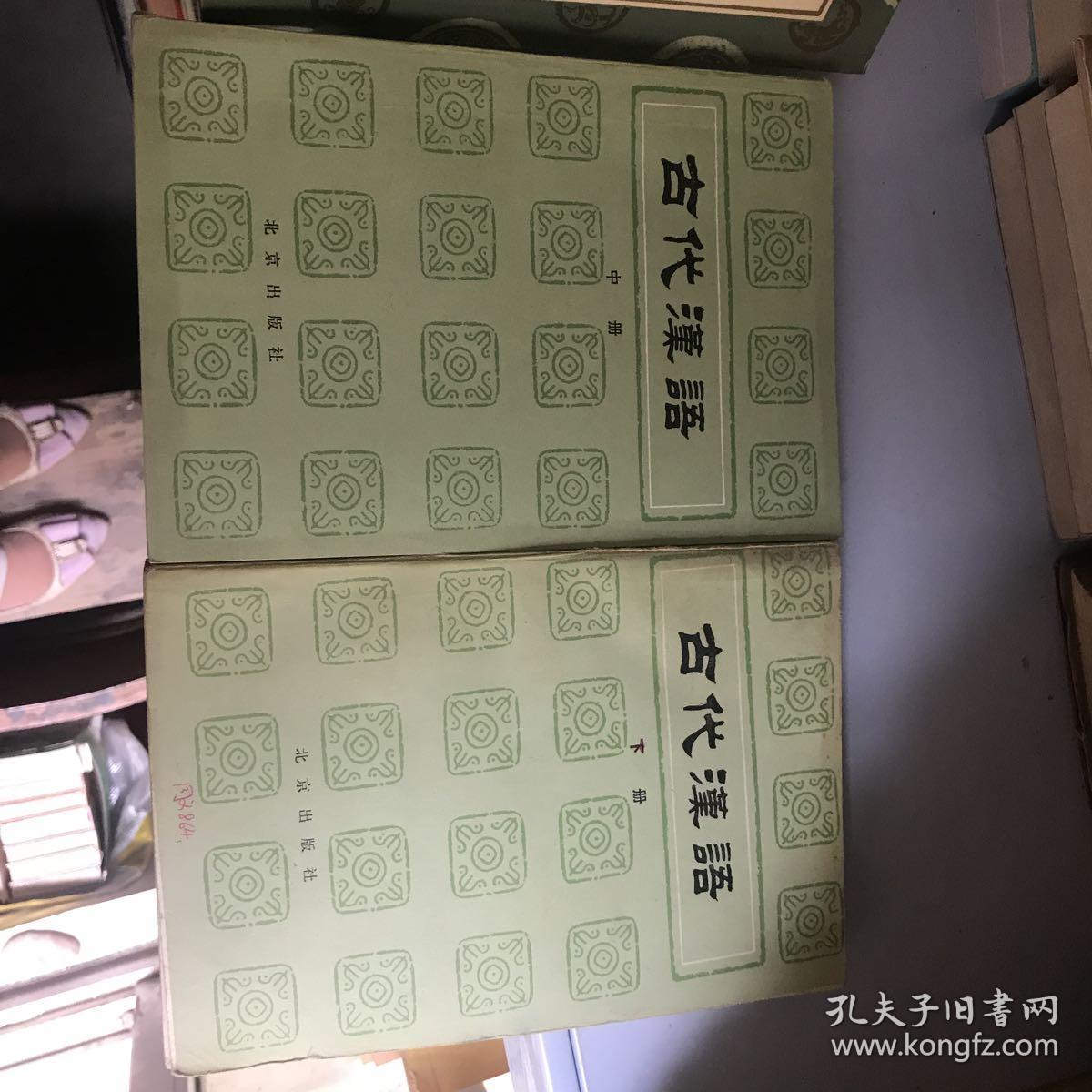 古代汉语（中下册）2册合售