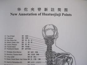 懒汉的疗法 :   铜人疗法简易取穴图表