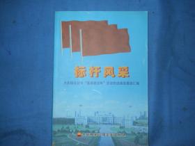 标杆风采之大庆炼化公司基层建设年活动先进典型事迹汇编