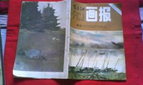 富春江画报（1982-9）