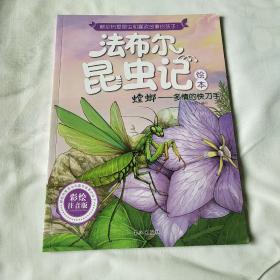 （A1）法布尔昆虫记绘本  螳螂一多情的快刀手