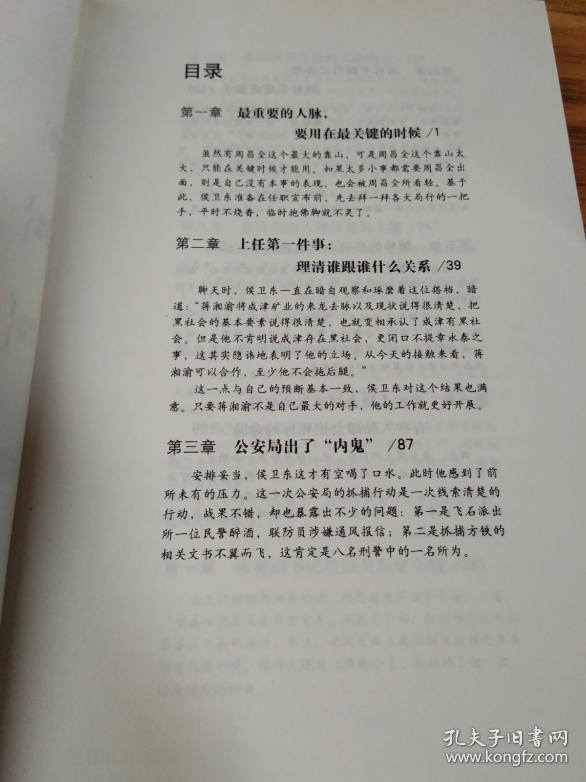 侯卫东官场笔记5：逐层讲透村、镇、县、市、省官场现状的自传体小说